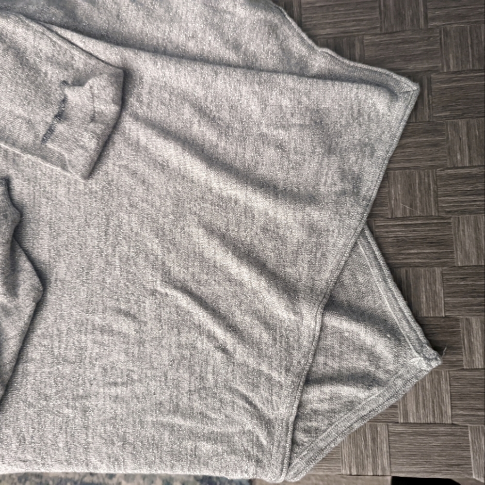 Joie Sweater, like new. Silver with shimmer.